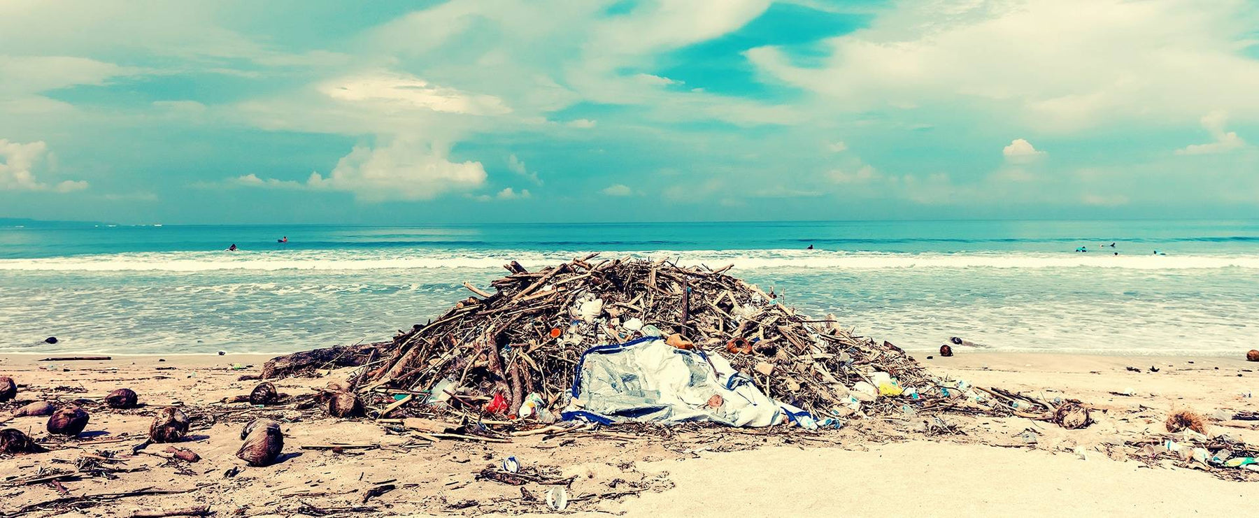 The Plastic Pollution Crisis